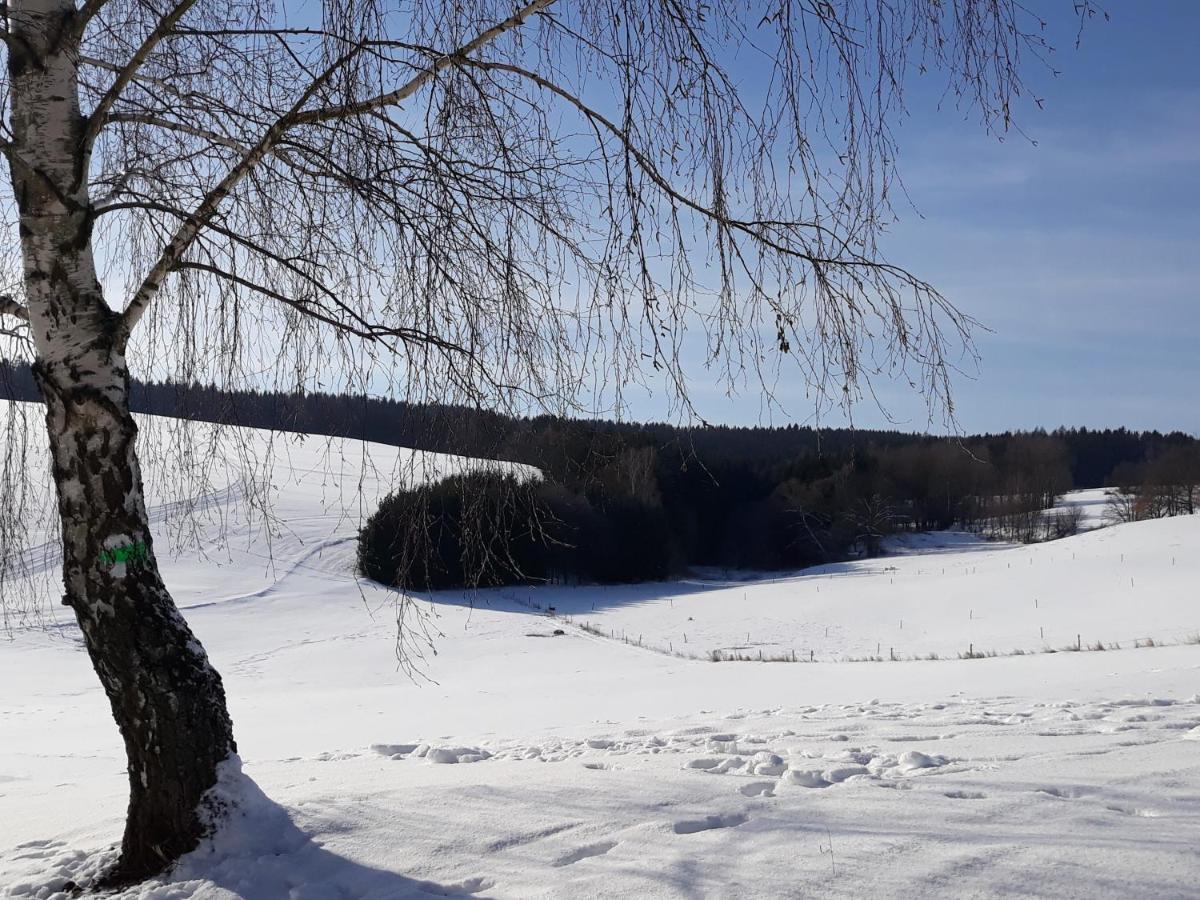Chalupa Nad Popelkou Lomnice nad Popelkou Exterior foto